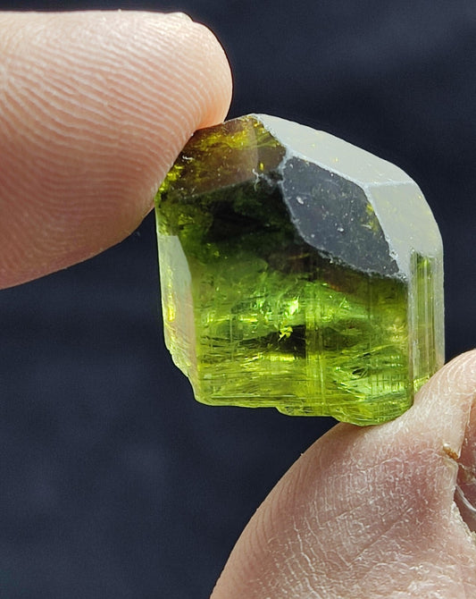 Single amazing green color terminated Tourmaline crystal 9 grams
