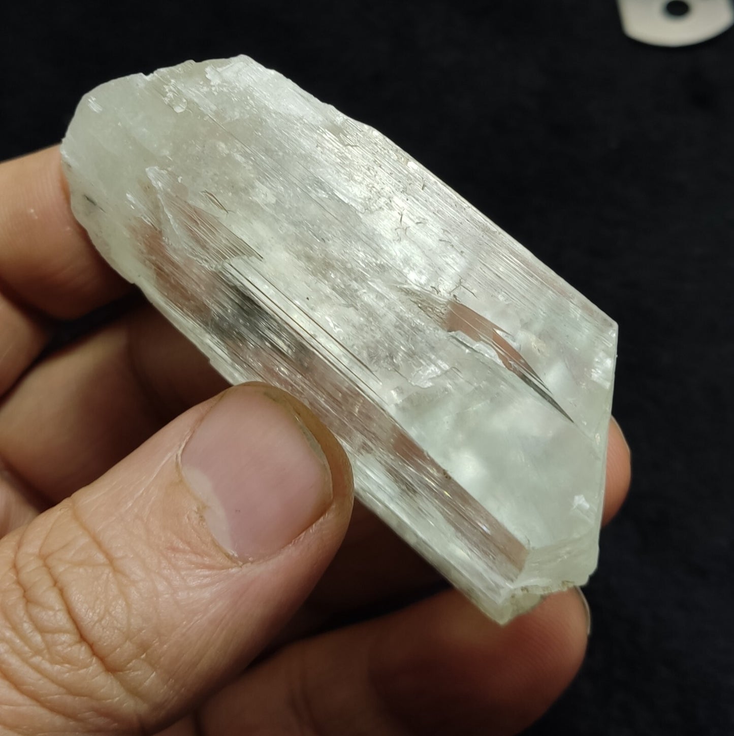 An Aesthetic terminated spodumene floater crystal specimen 75 grams