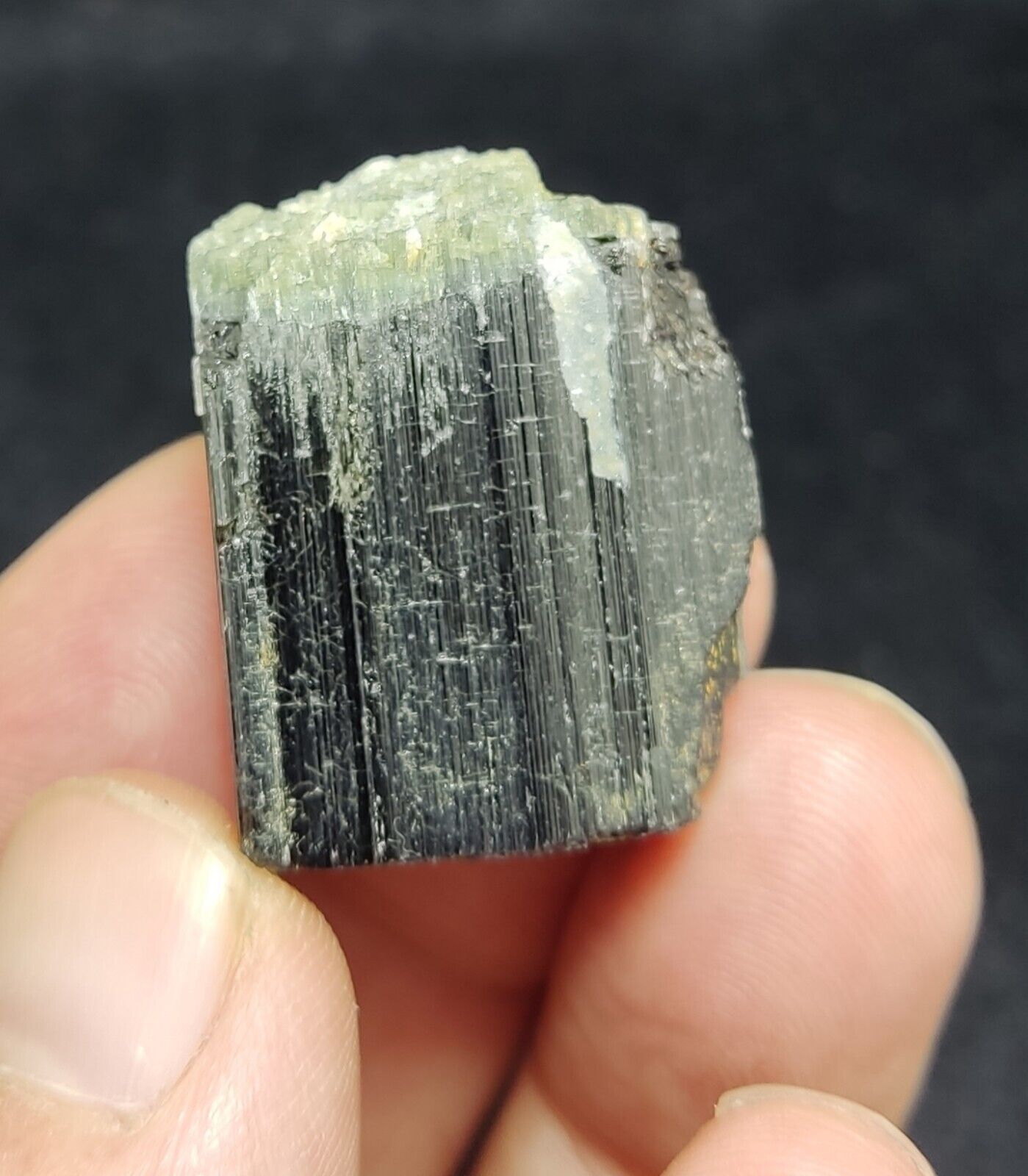 An Aesthetic specimen of black Tourmaline crystal with apatite 26 grams