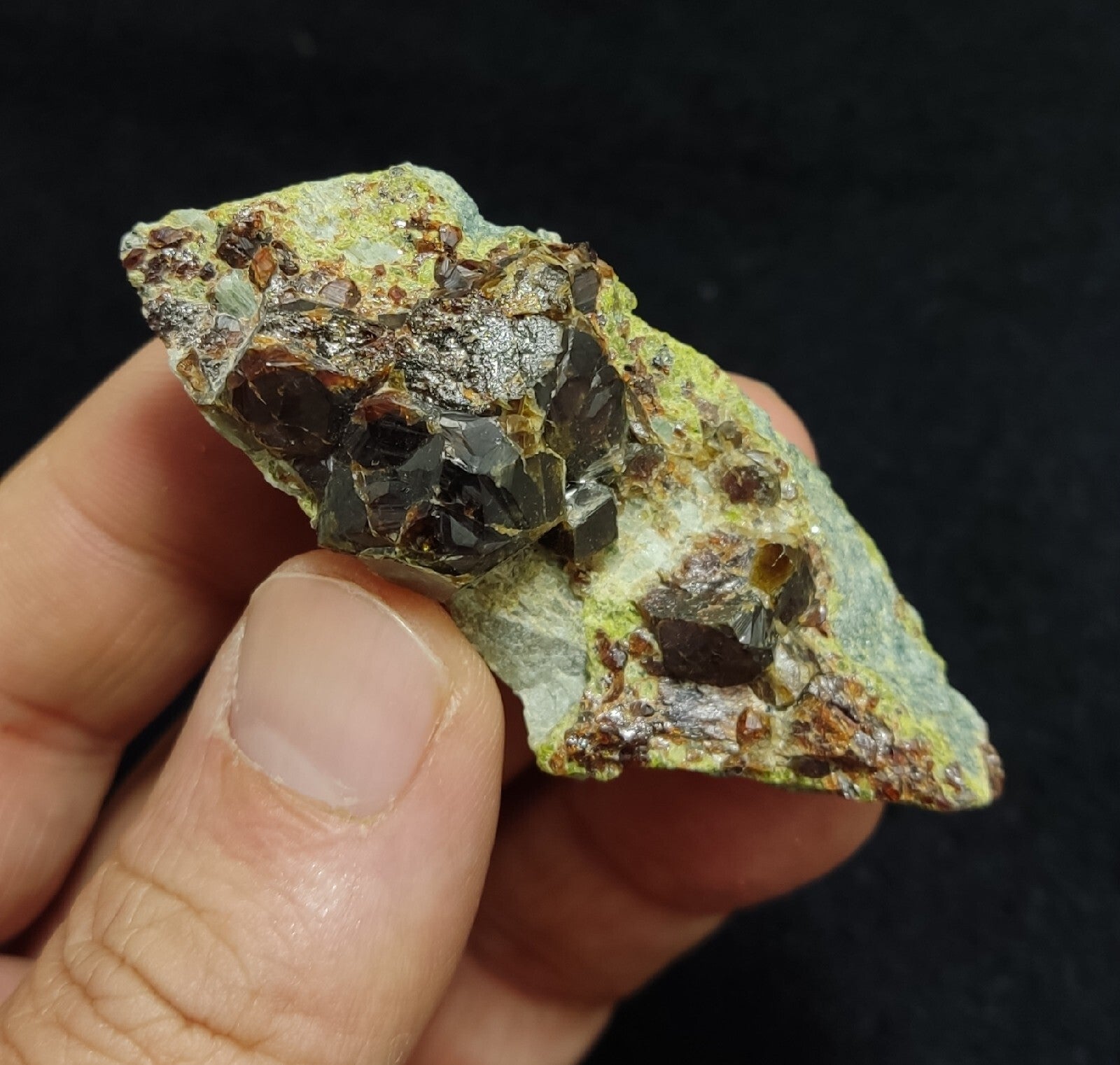 Andradite garnets on matrix with epidote 43 grams