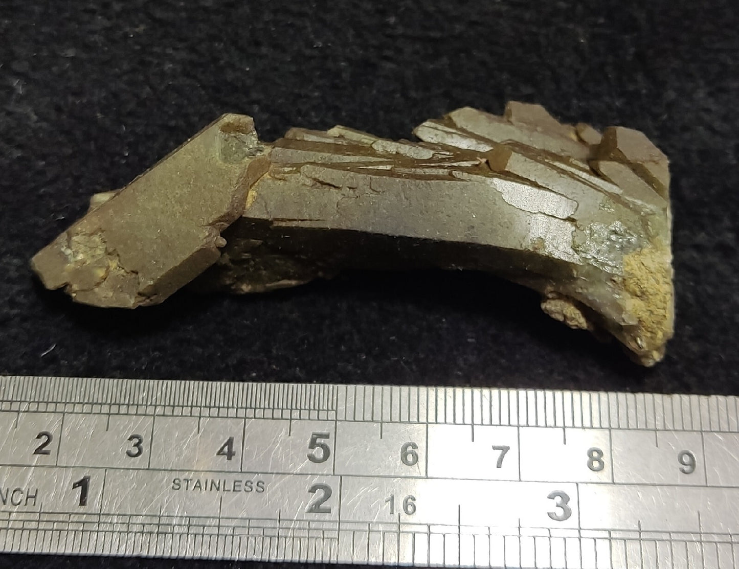 Natural Chlorite Quartz Crystal Bended Formations  35 grams