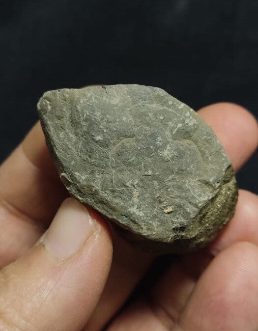 Natural Pyrite On Matrix 86 Grams.