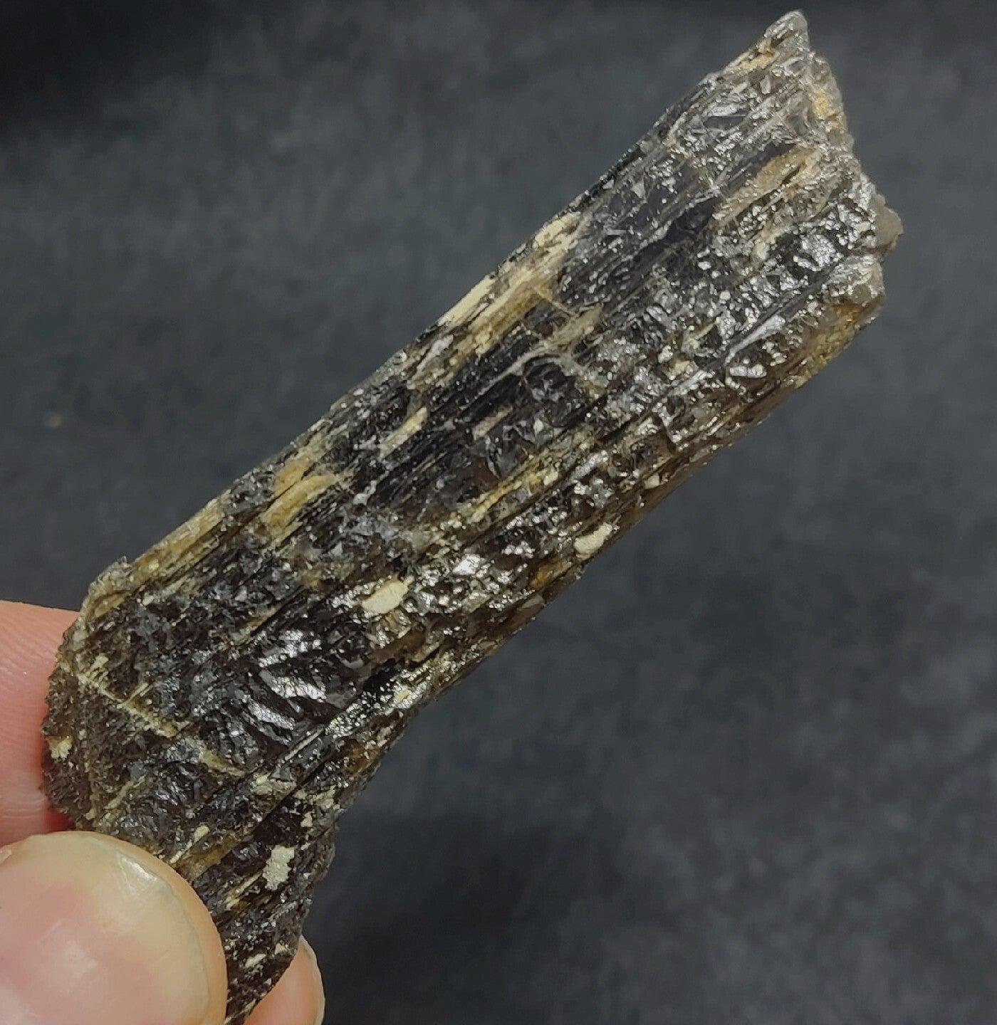Single etched Epidote Crystal 34 grams