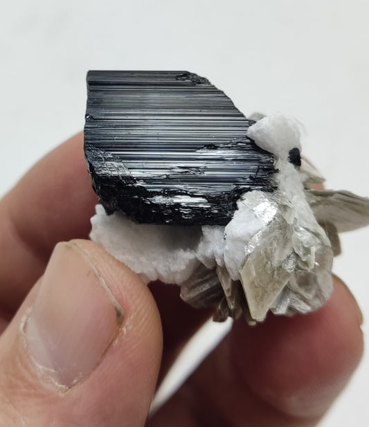 An Aesthetic specimen of muscovite with Tourmaline and albite 26 grams