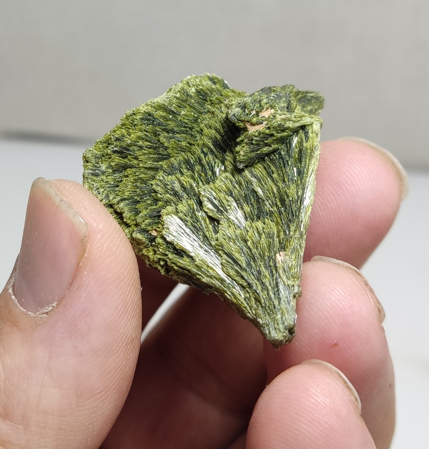 An aesthetic specimen of epidote crystal spray type 22 grams