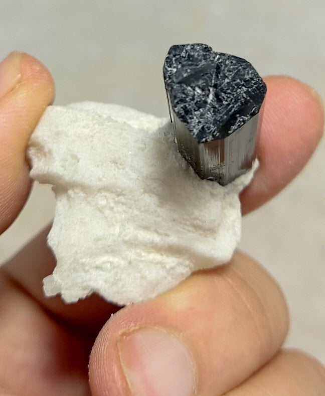 Black Tourmalines Crystal on Matrix of Albite 24 grams