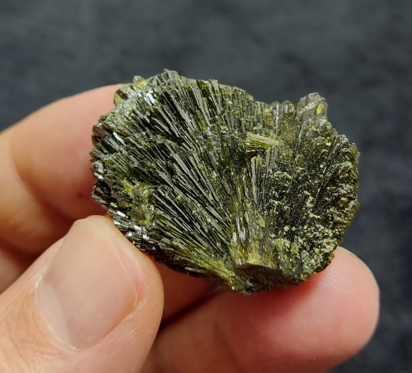 Single natural Epidote Crystal spray formations 22 grams