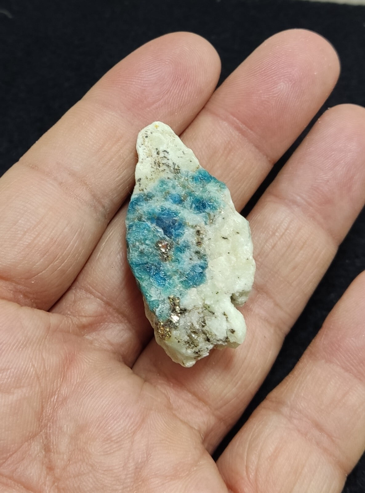 An Aesthetic specimen of lazurite on matrix with pyrite 19 grams