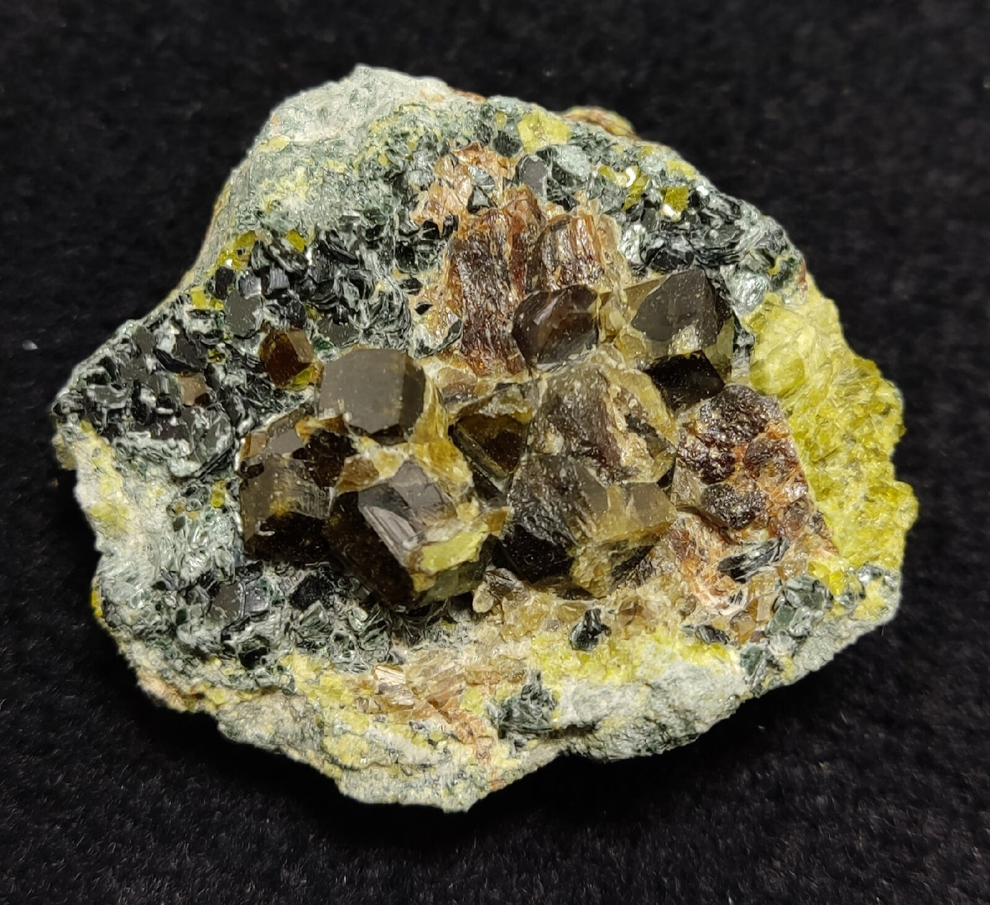 Andradite garnets on matrix with epidote and clinochlore 56 grams