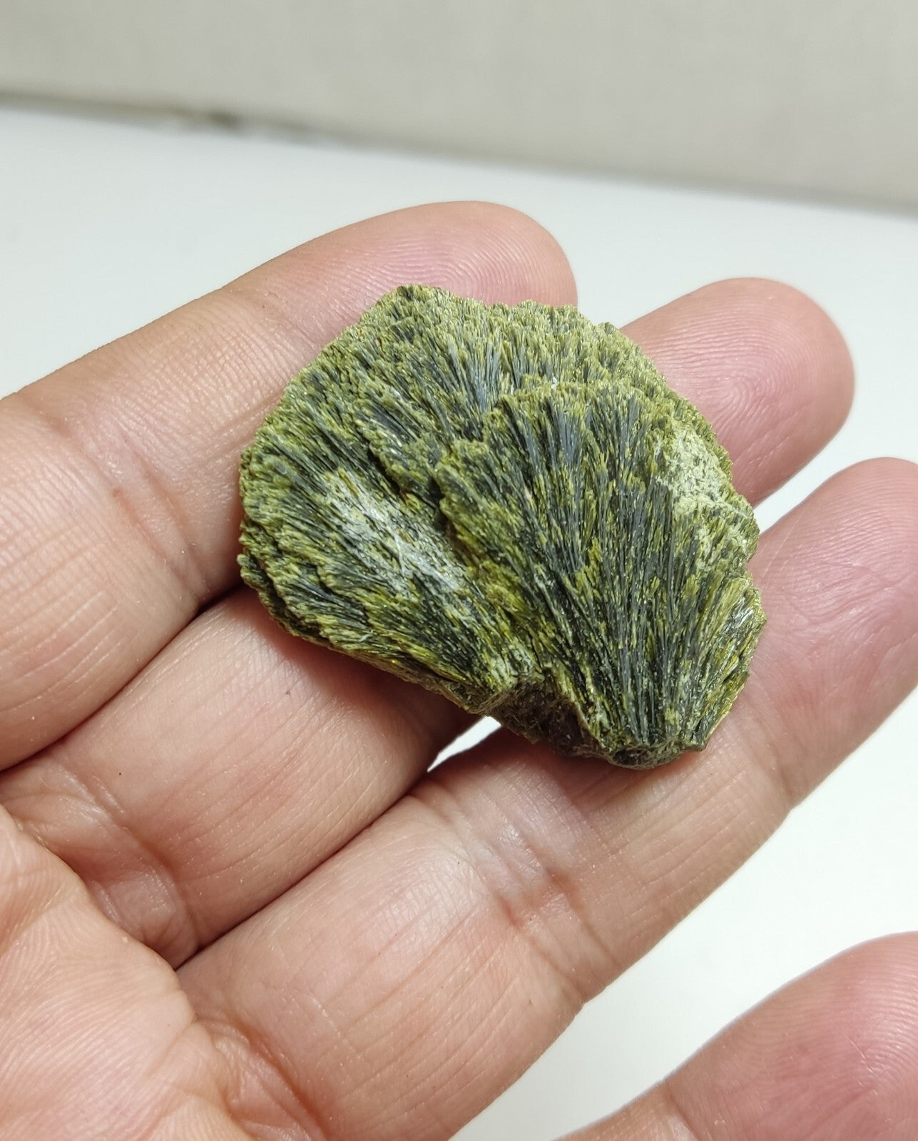 An aesthetic specimen of epidote crystal spray type 22 grams