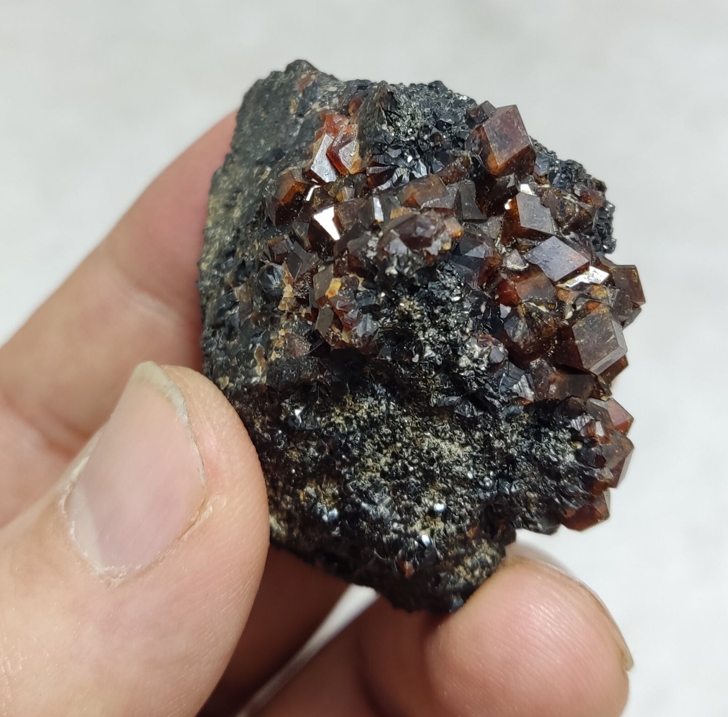 An Aesthetic specimen of andradite garnets on matrix 71 grams