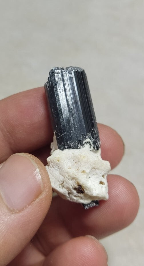 Black Tourmaline Crystal with Albite Feldspar 14 grams