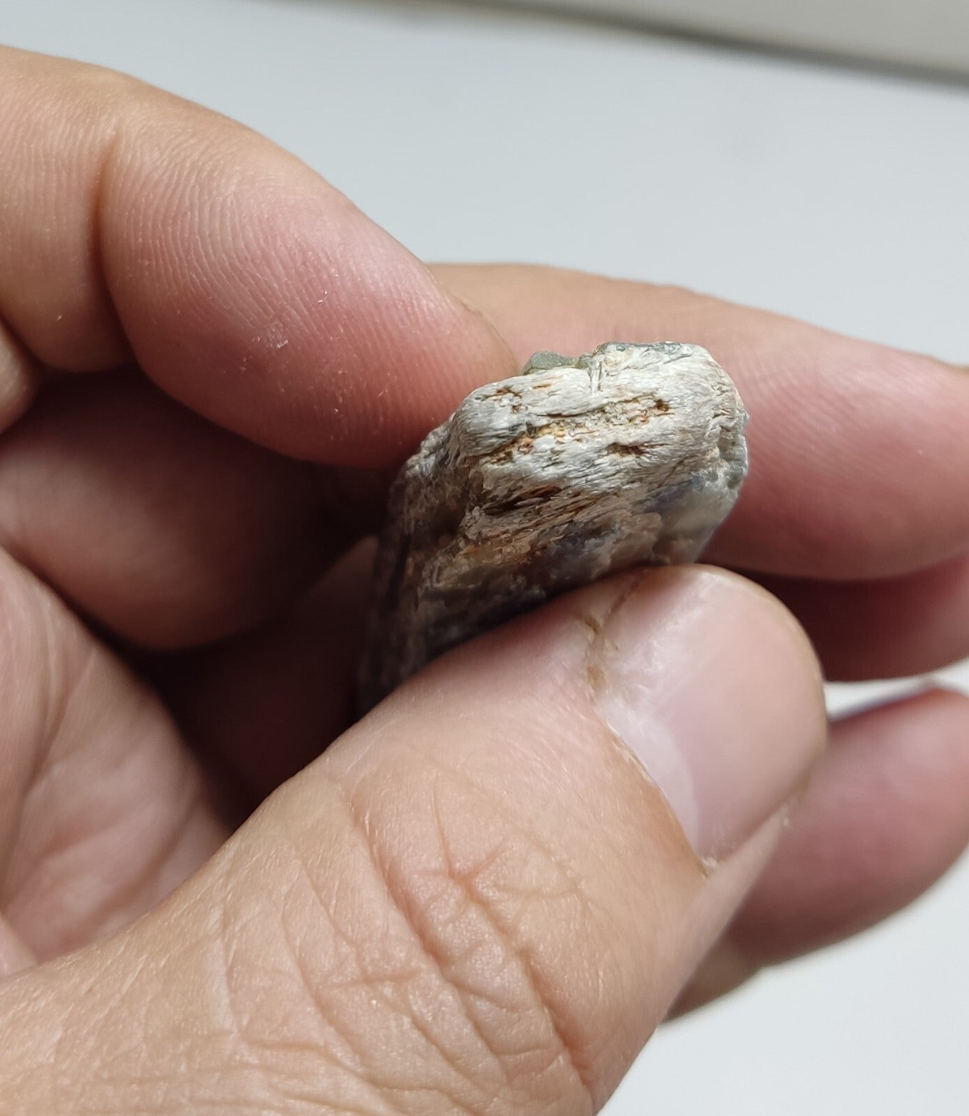 An Aesthetic specimen of blue kyanite crystal 51 grams