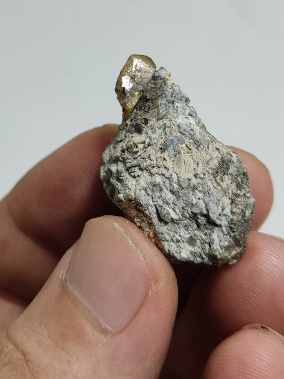 An Aesthetic Natural terminated specimen of rare xenotime on matrix 12 grams