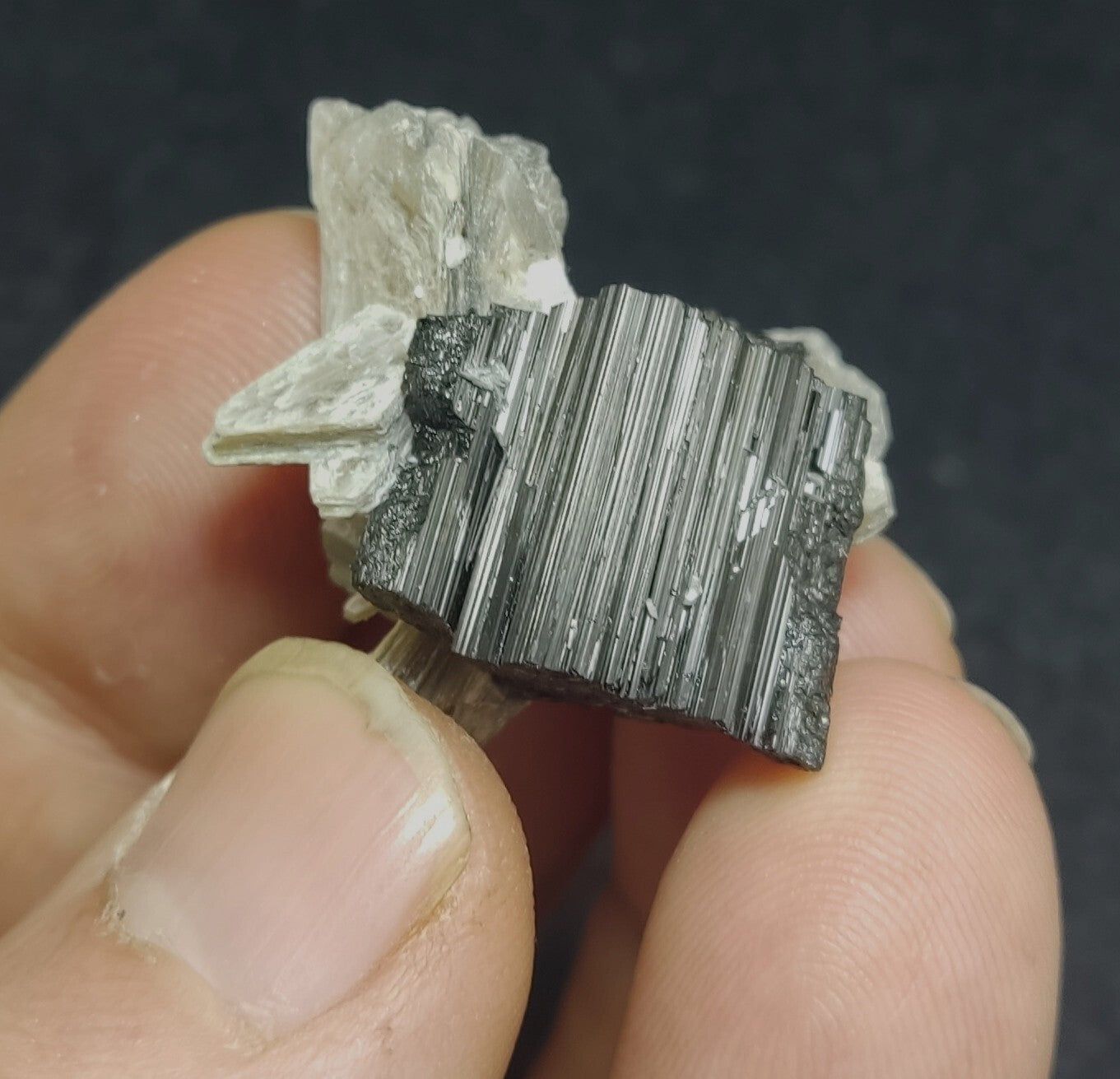 15 grams terminated mica muscovite cluster with black tourmaline