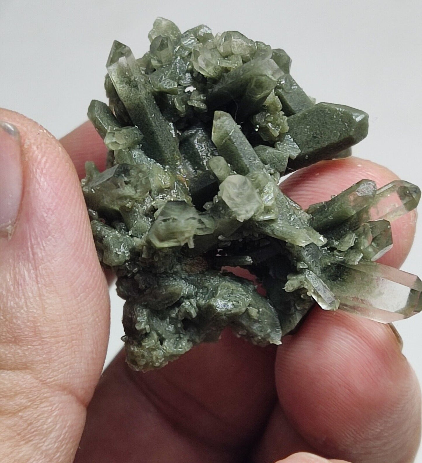 An Aesthetic miniature/thumbnail terminated chlorite Quartz cluster 15 grams