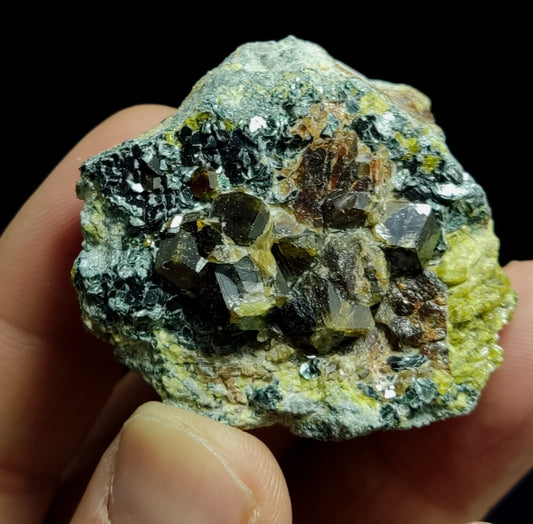 Andradite garnets on matrix with epidote and clinochlore 56 grams