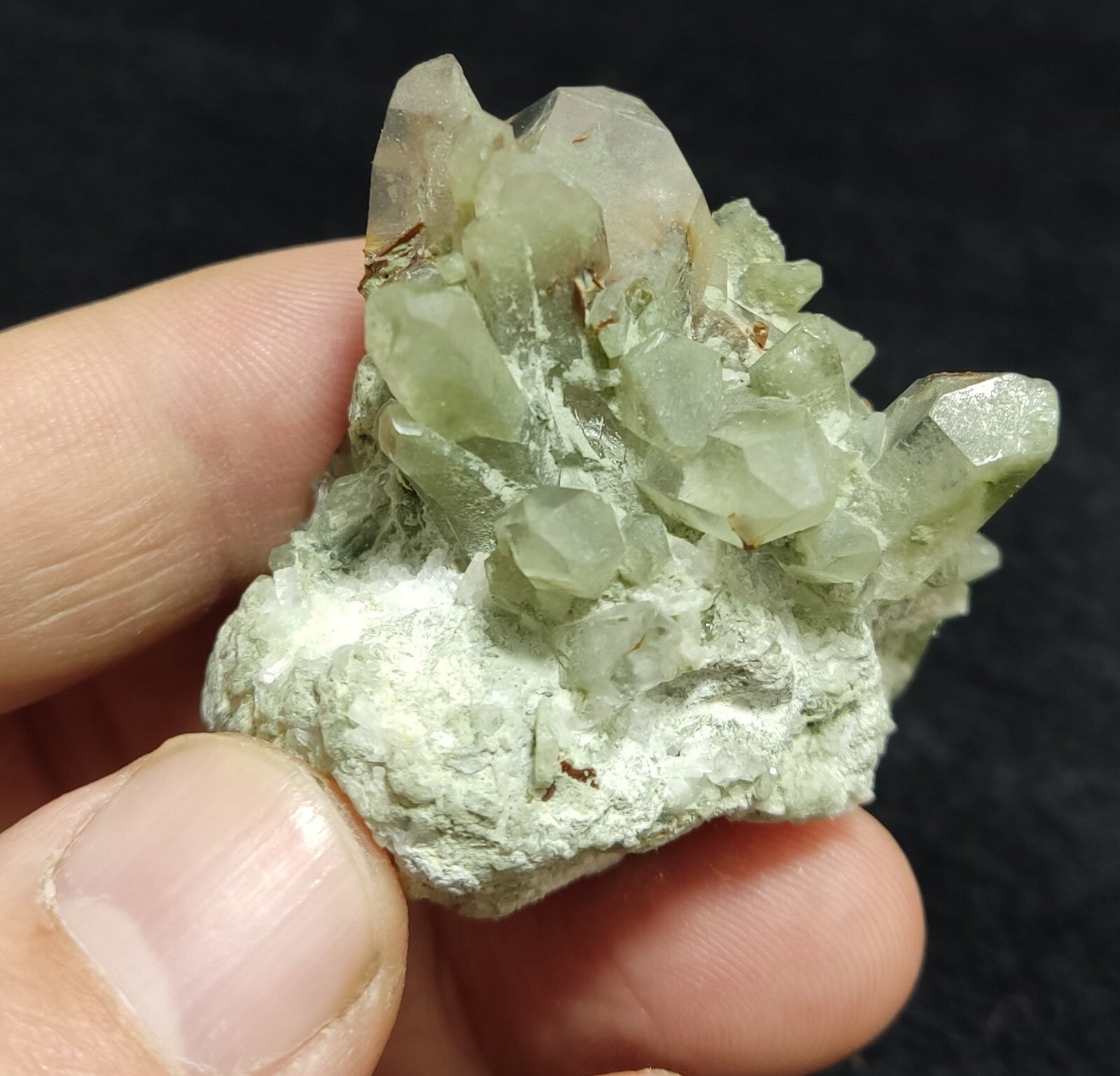 An Aesthetic terminated chlorite Quartz specimen with brookite 61 grams