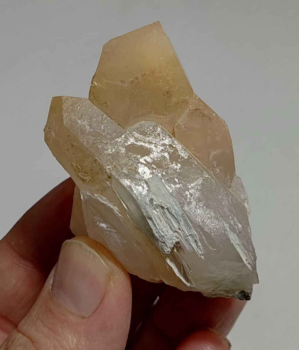 Amphibole included Quartz crystal 88 Grams