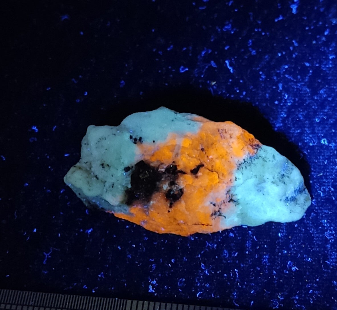 An Aesthetic specimen of lazurite on matrix with pyrite 19 grams