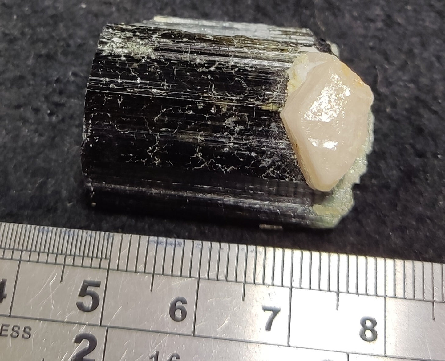 An Aesthetic specimen of black Tourmaline crystal with apatite 26 grams