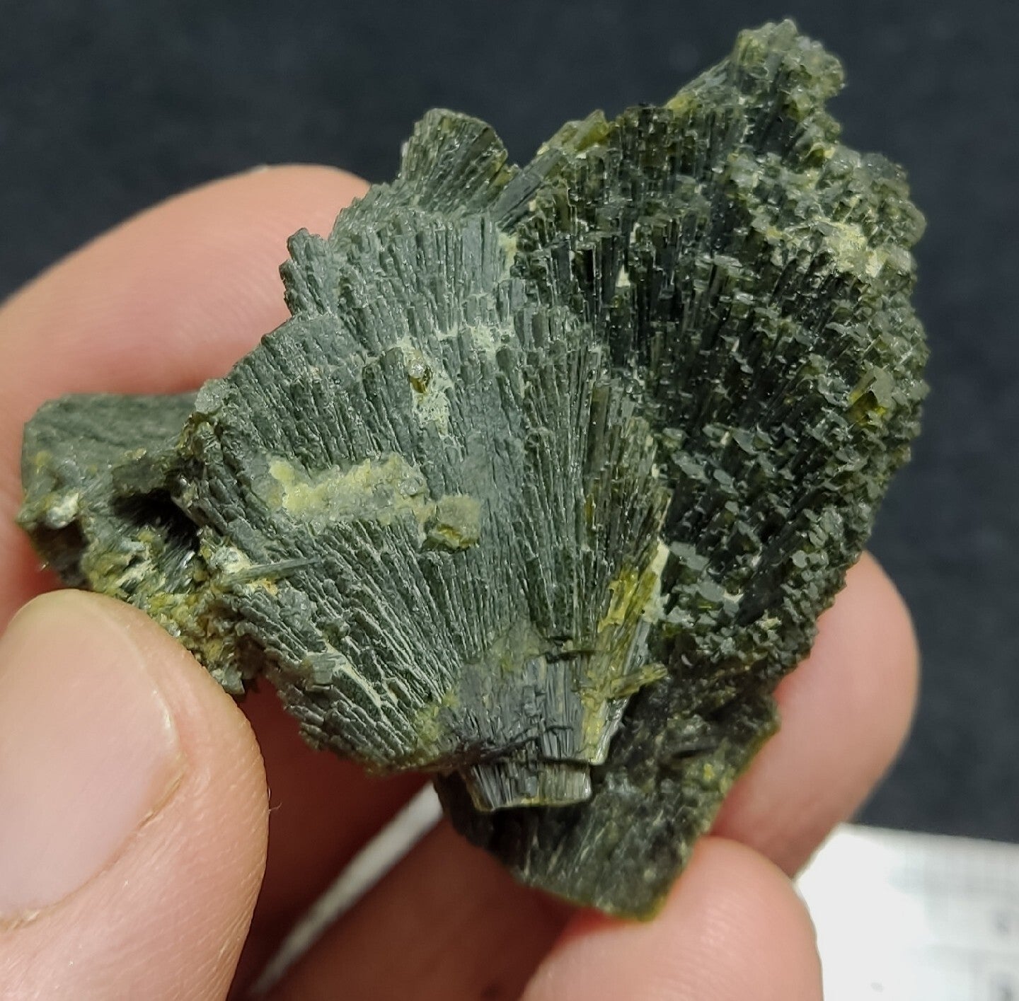 Single natural Epidote Crystal spray formations 39 grams