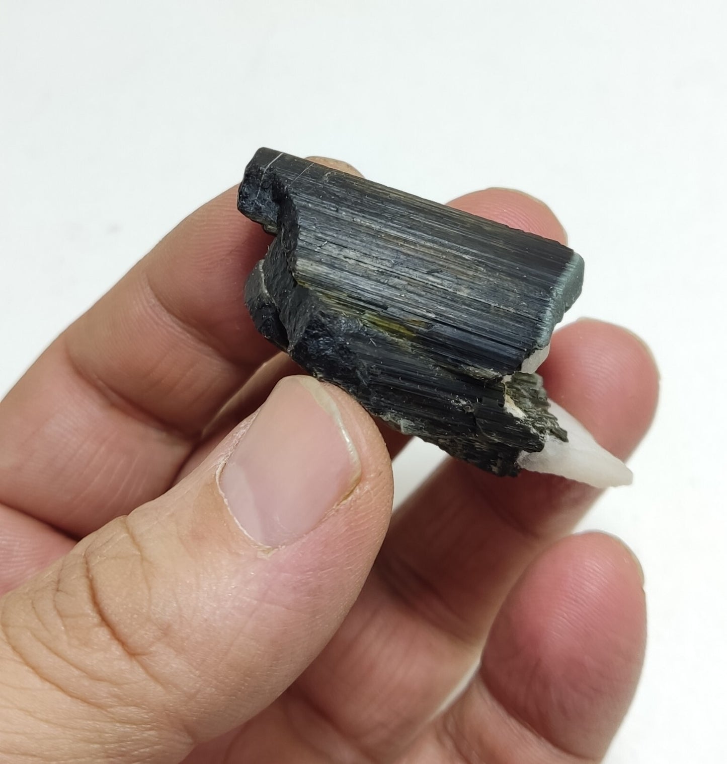 An aesthetic specimen of tourmaline crystals 36 grams