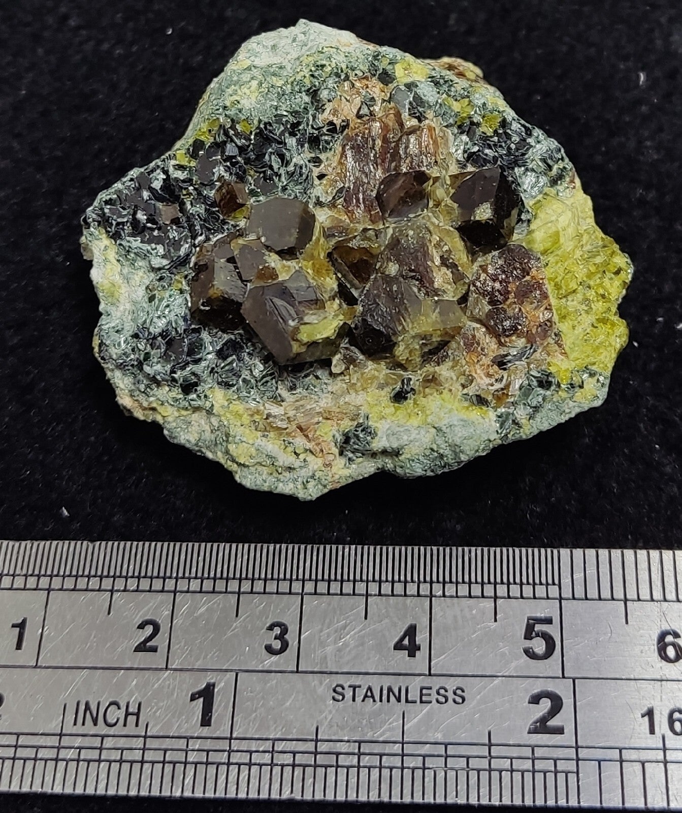 Andradite garnets on matrix with epidote and clinochlore 56 grams