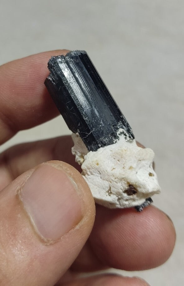 Black Tourmaline Crystal with Albite Feldspar 14 grams