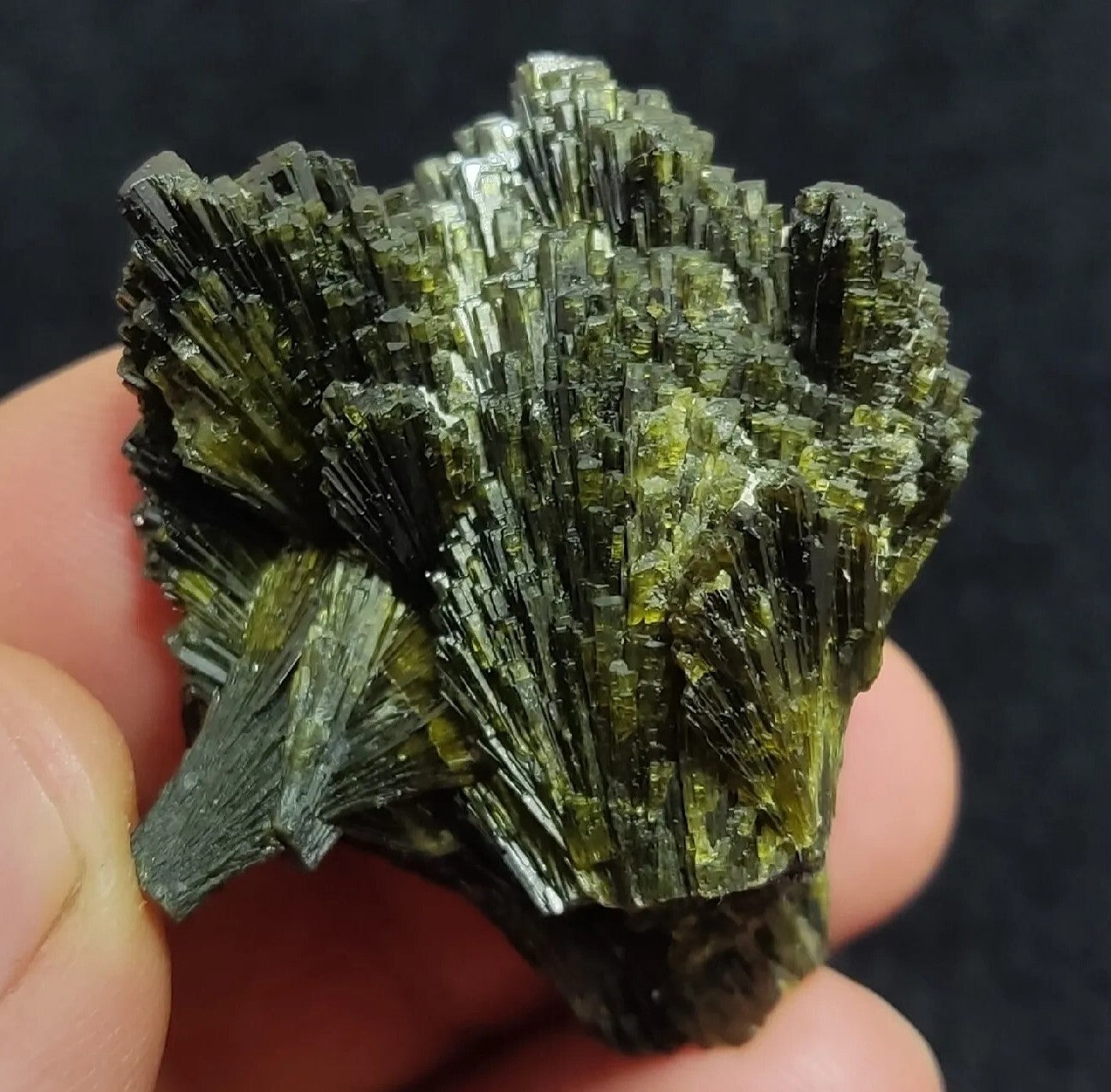 Single natural Epidote Crystal spray formations 32 grams