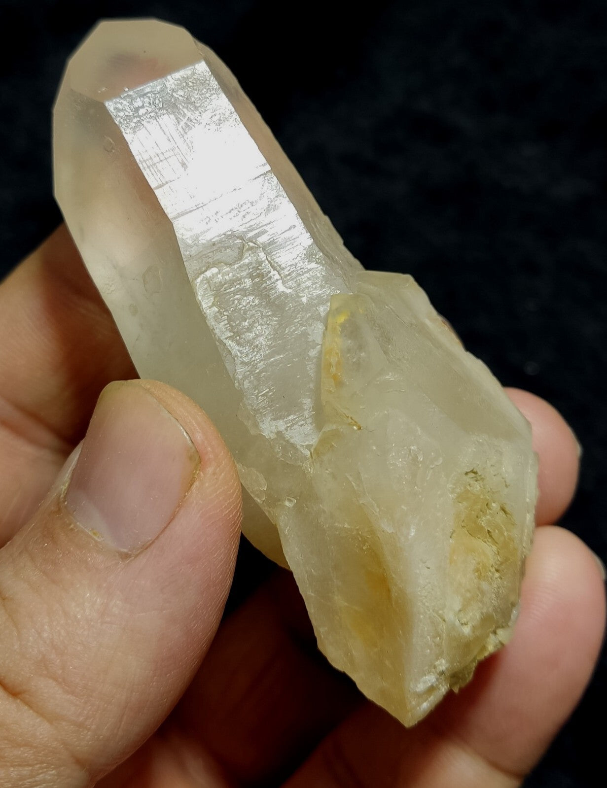 An amazing specimen of terminated amphibole included Quartz crystal 76