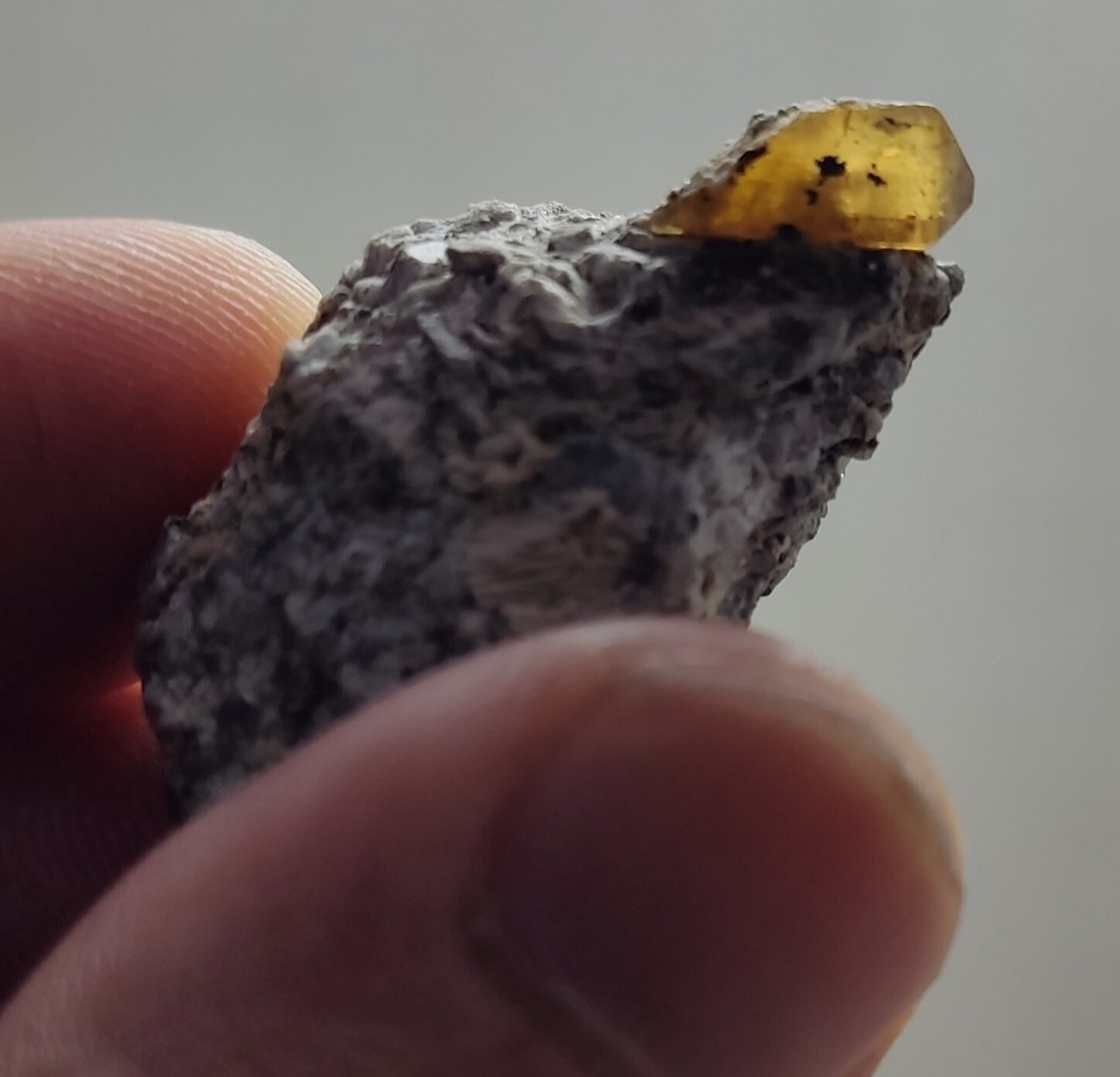 An Aesthetic Natural terminated specimen of rare xenotime on matrix 12 grams