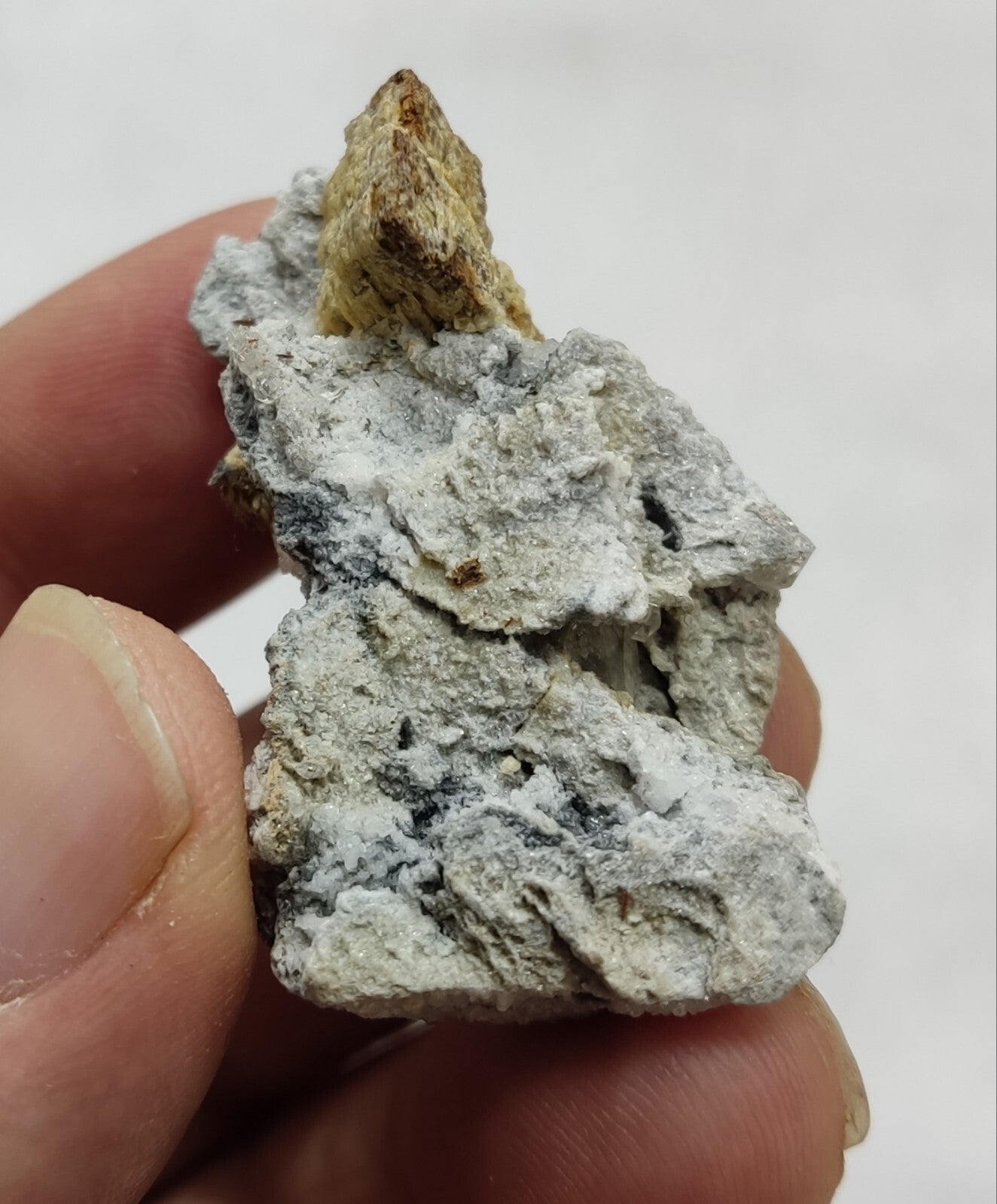 An amazing specimen of siderite on matrix 14 grams