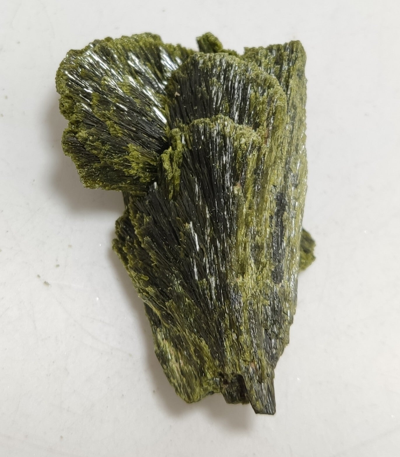 An aesthetic specimen of epidote crystal spray type 29 grams