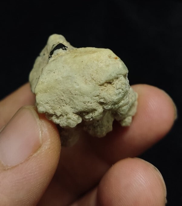 Natural Terminated Black Tourmaline Crystal on Matrix 35 grams