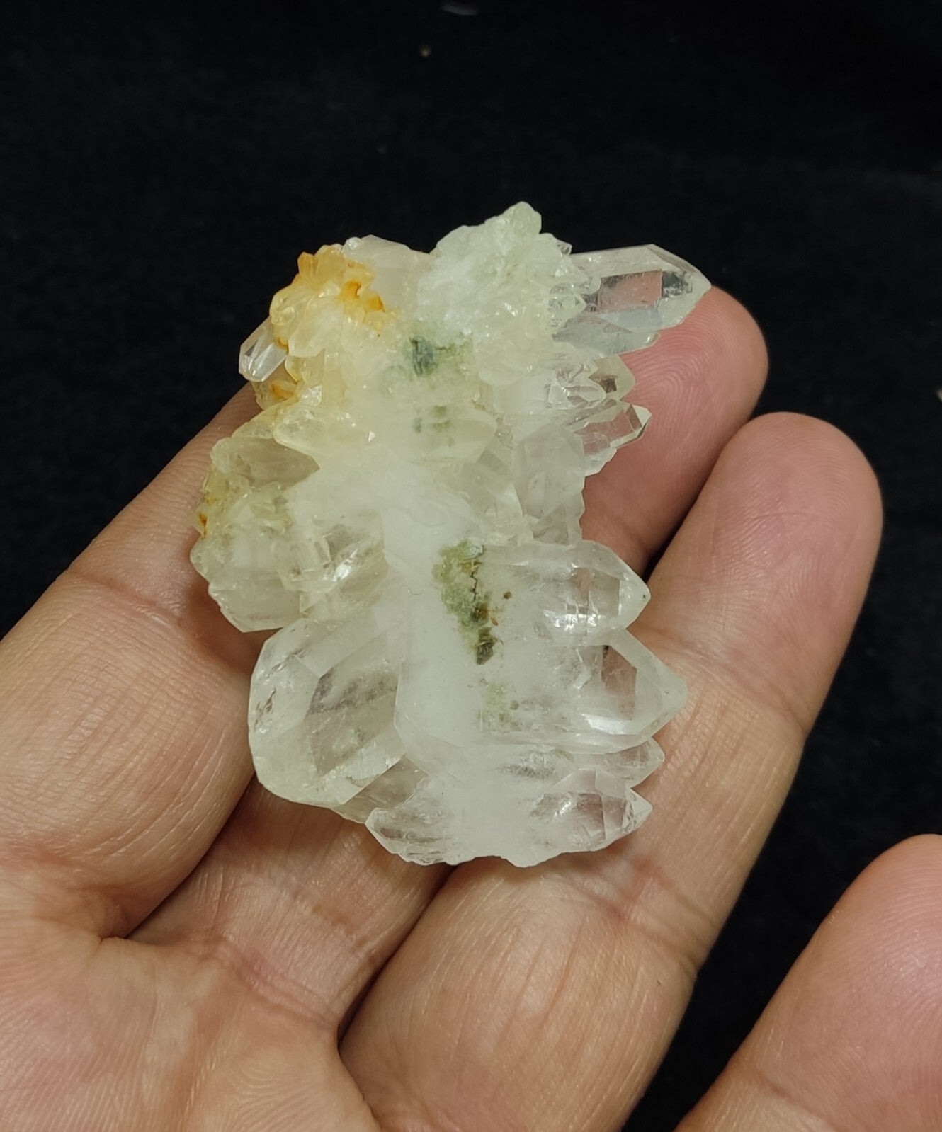 An Aesthetic terminated Quartz crystal with chlorite inclusions 43 grams