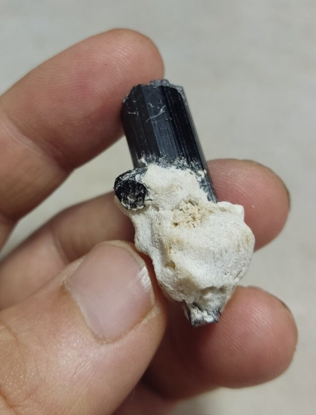 Black Tourmaline Crystal with Albite Feldspar 14 grams
