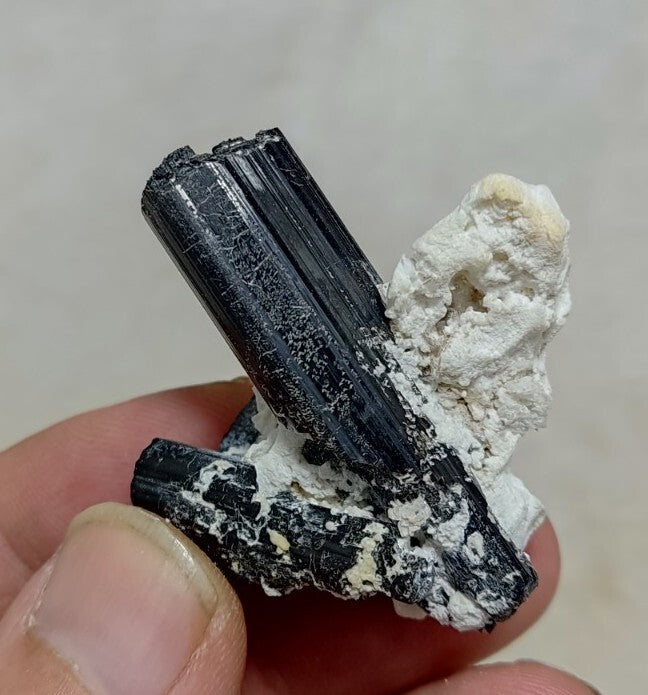 Natural Terminated Black Tourmaline Crystal Cluster with Albite 24 grams