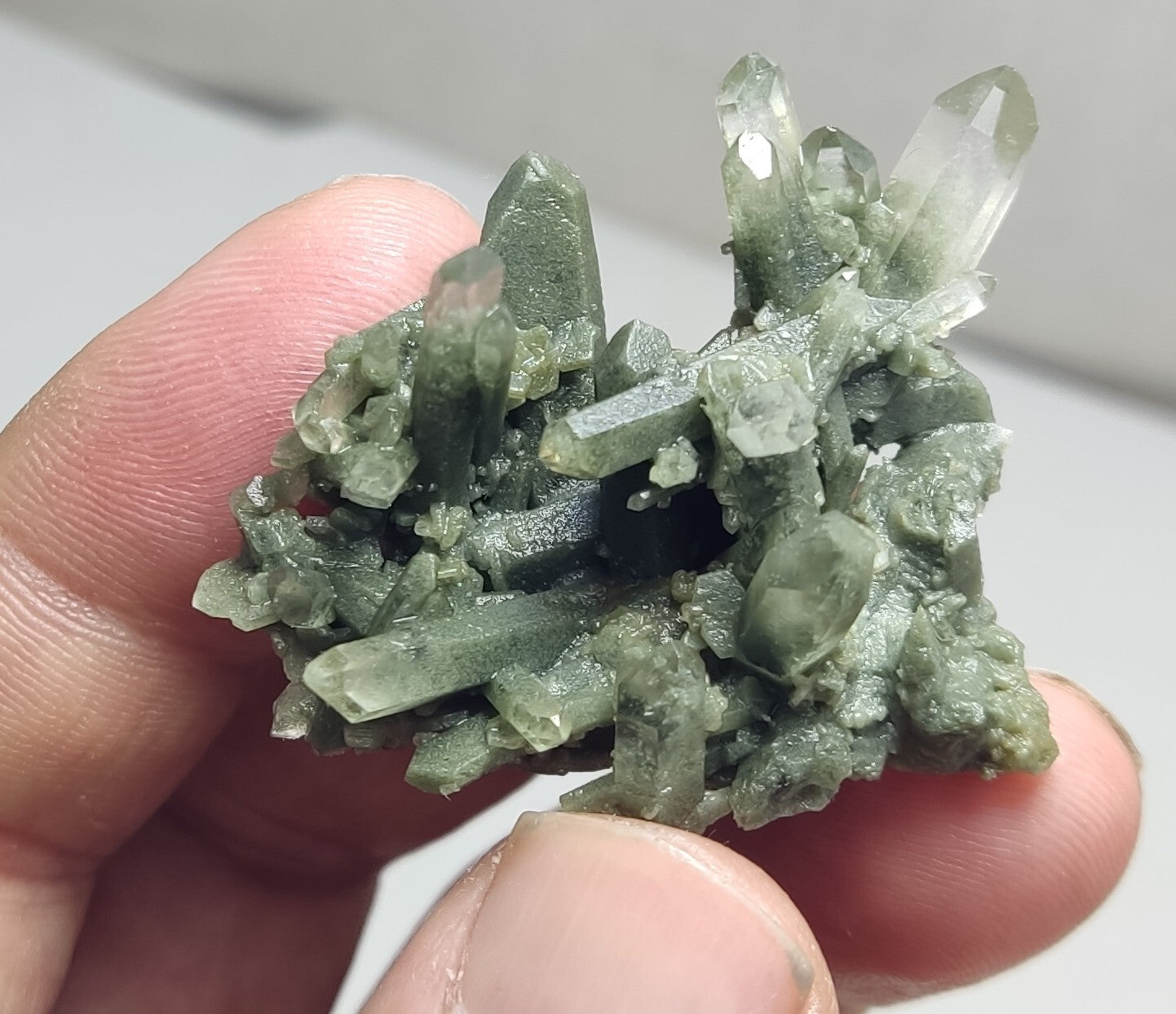 An Aesthetic miniature/thumbnail terminated chlorite Quartz cluster 15 grams