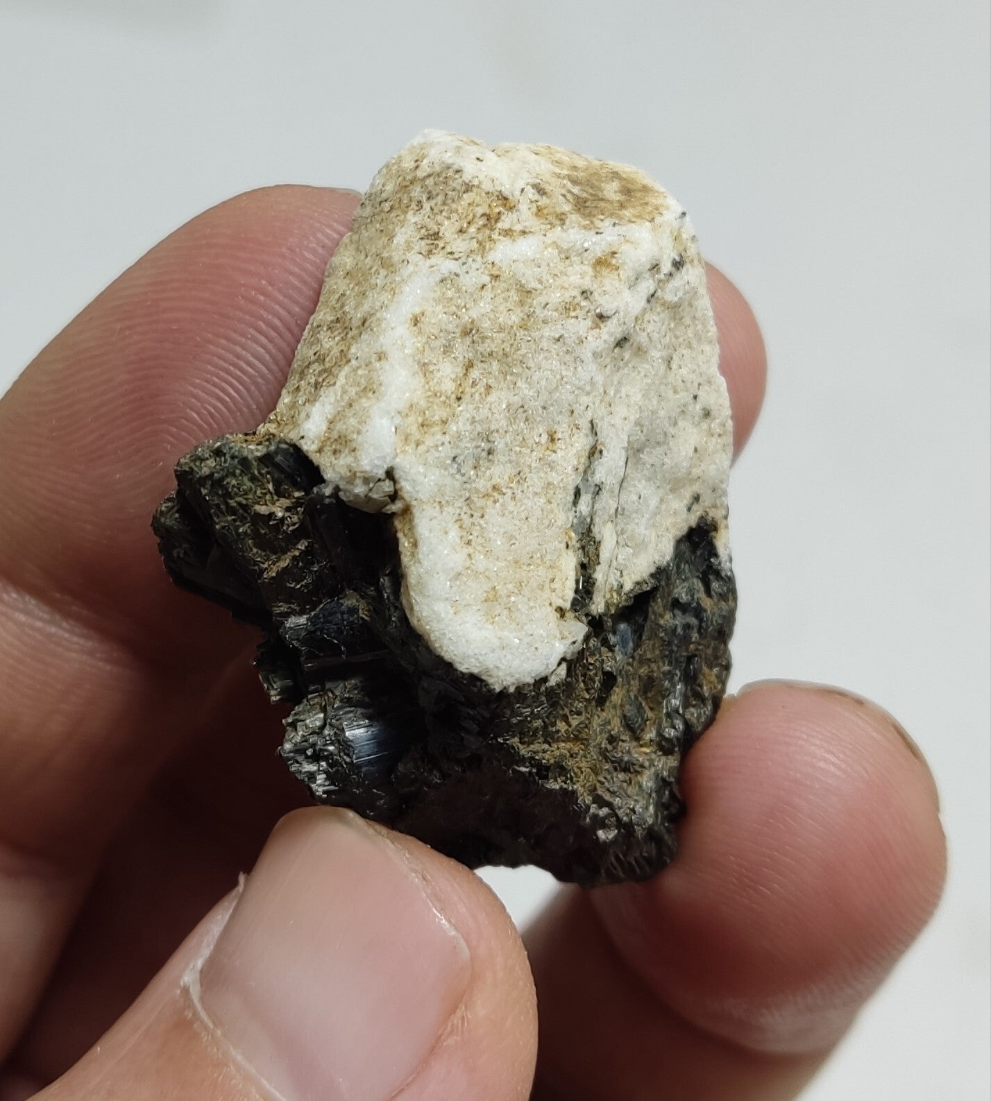 An aesthetic specimen of terminated aegirine crystals on matrix 25 grams