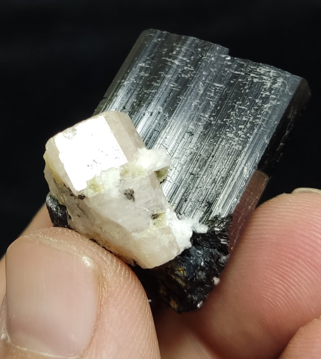 An Aesthetic specimen of black Tourmaline crystal with apatite 34 grams