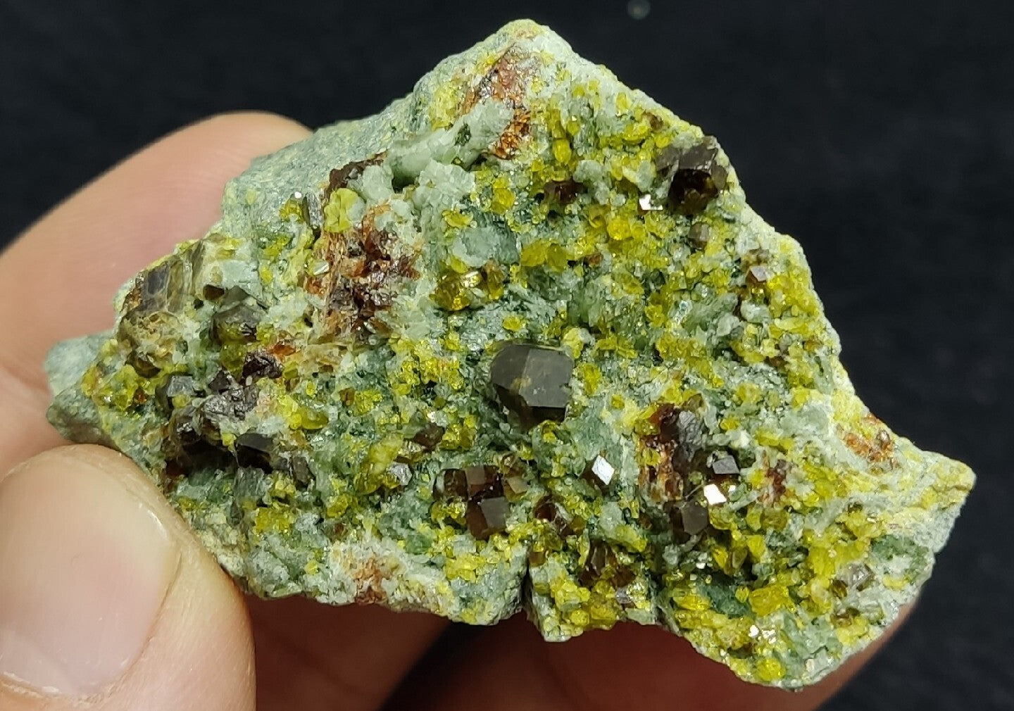 Andradite Garnets Crystals on matrix with Epidotes and Diopside 80 grams