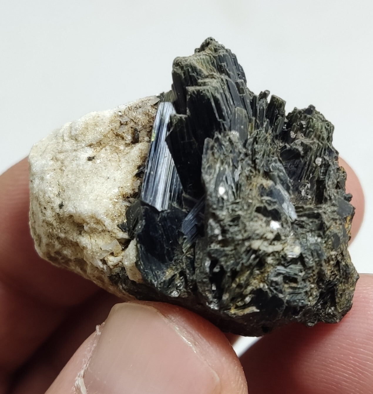 An aesthetic specimen of terminated aegirine crystals on matrix 25 grams