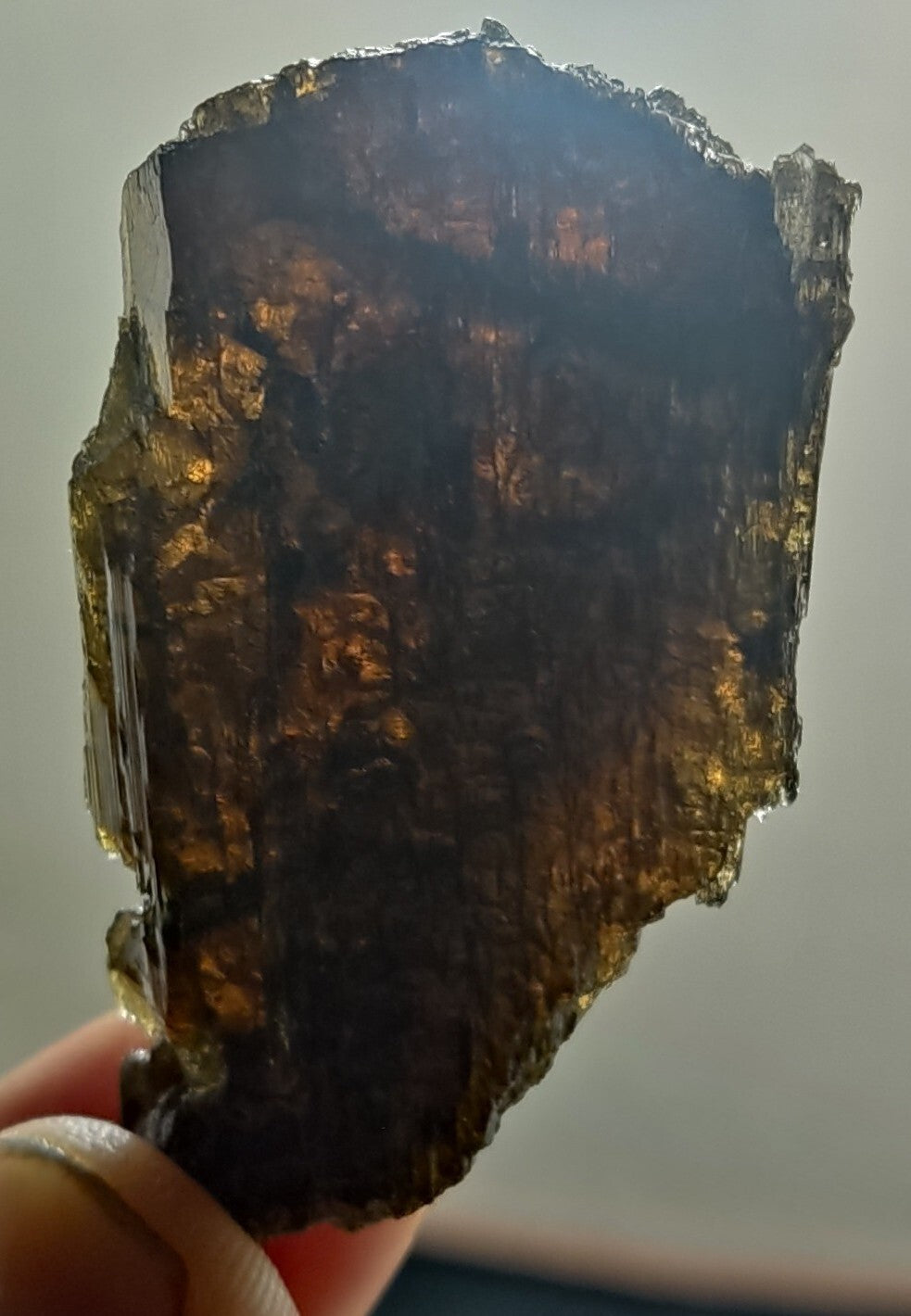 Single etched Epidote Crystal 32 grams