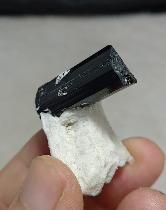 Black Tourmalines Crystal on Matrix of Albite 24 grams