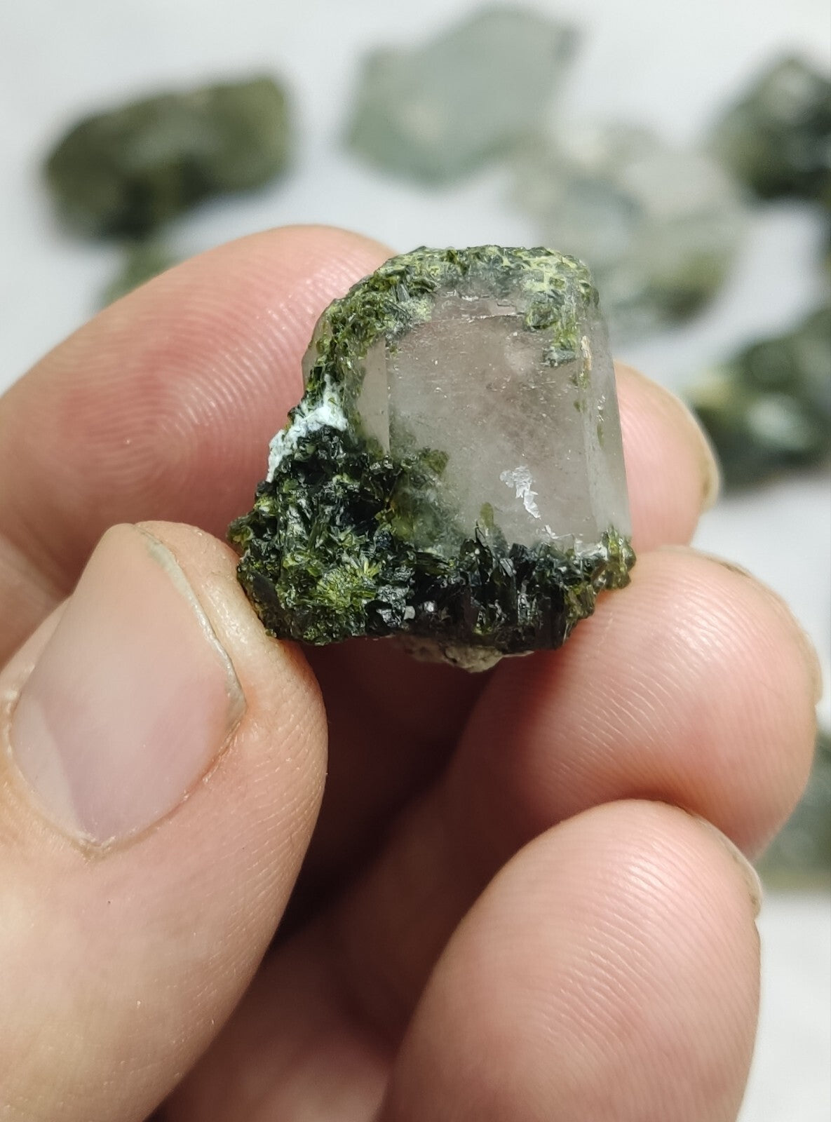 260 grams epidote Quartz crystals