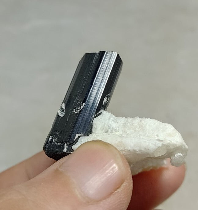 Black Tourmalines Crystal on Matrix of Albite 24 grams