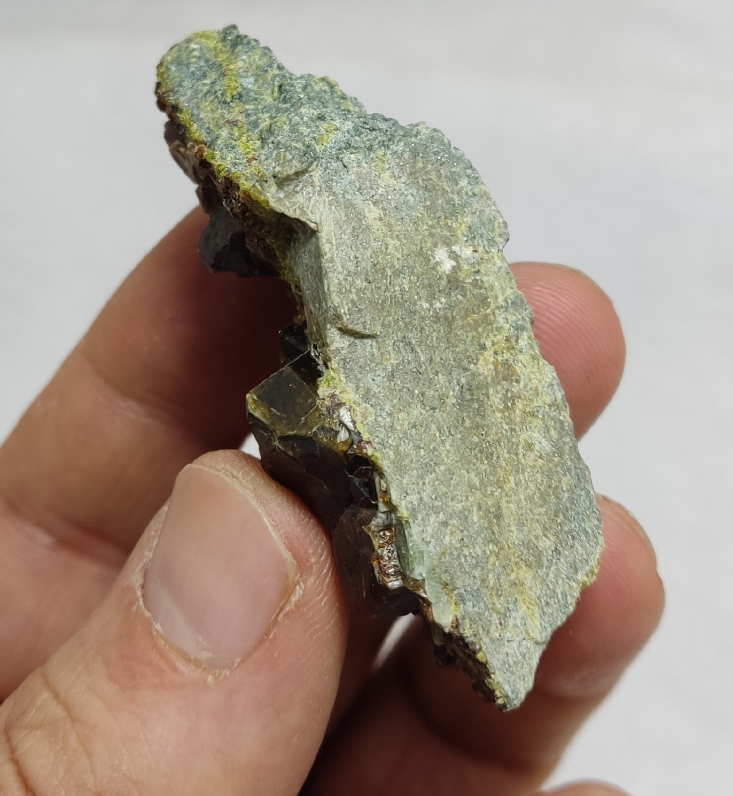 Andradite garnets on matrix with epidote 43 grams