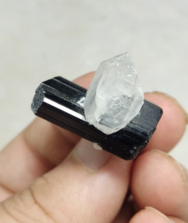 Black Tourmalines Crystal with Quartz And Albite 15 grams