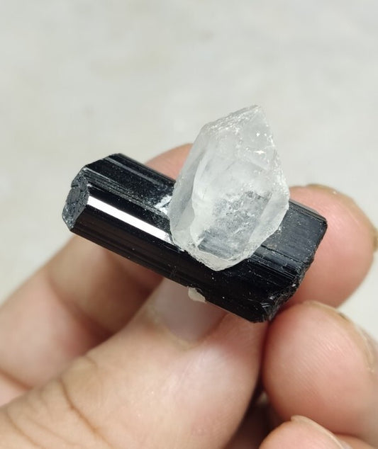 Black Tourmalines Crystal with Quartz And Albite 15 grams